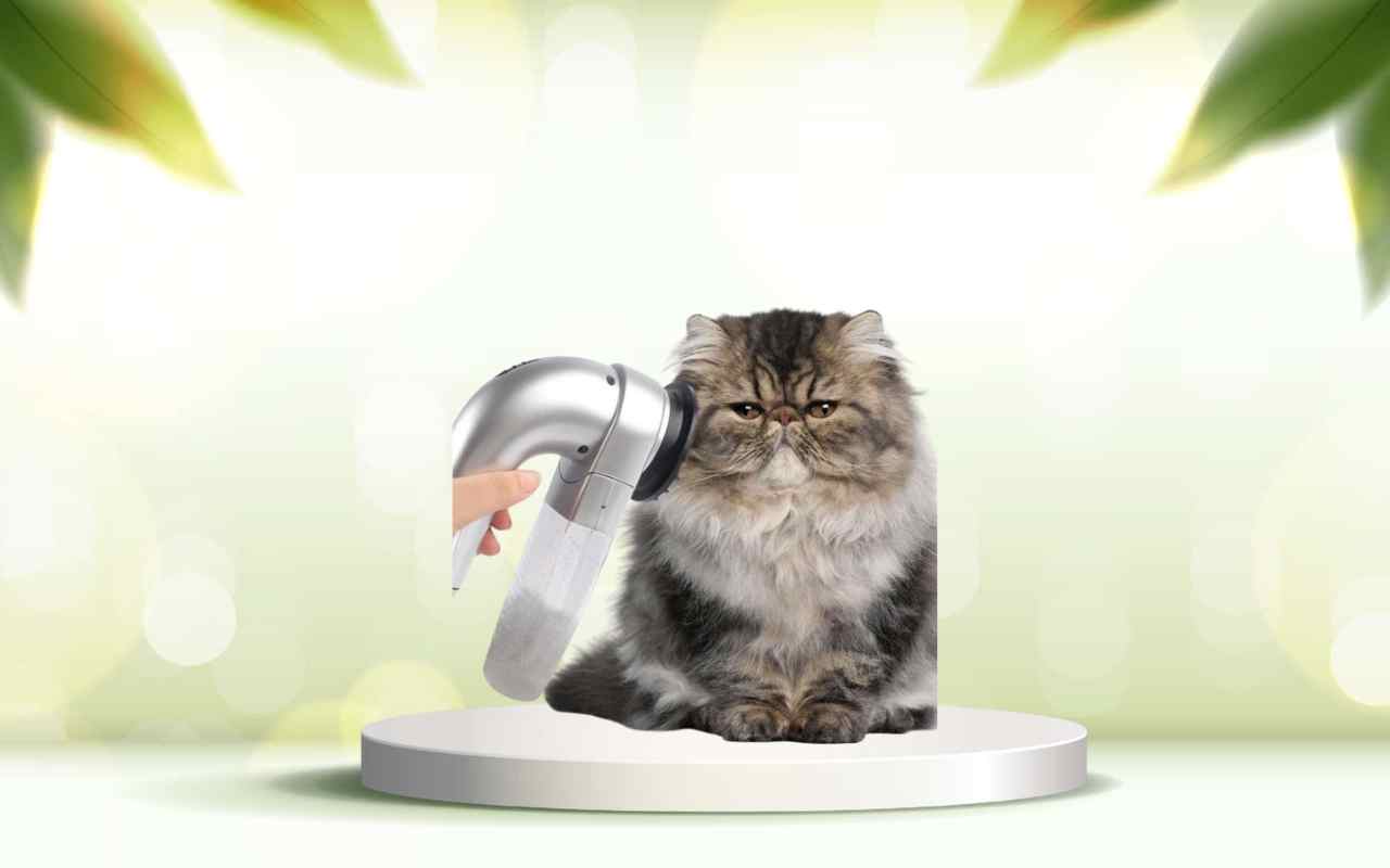 SpazzolAmica: elimina i peli degli animali da casa con facilità, provala ora